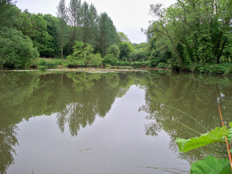 Picture of lake at West Compton Manor