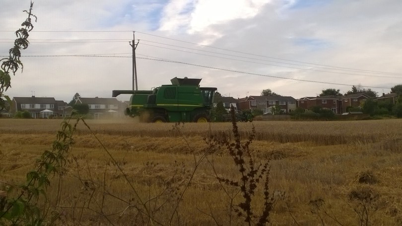 Picture of a combine harvester at work