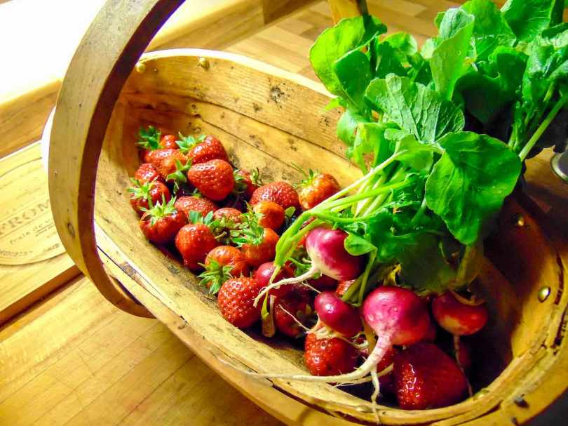Picture of bunch of radish and strawberries in a wooden trug