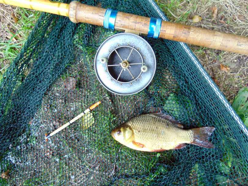 Picture of a Crucian Carp in a vintage landing net along side a split cane fishing rod