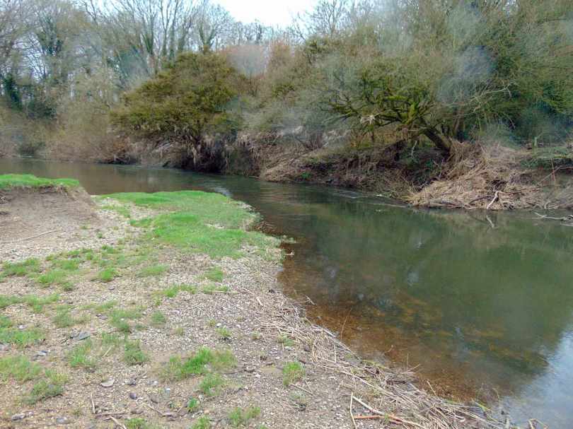 Picture of the river