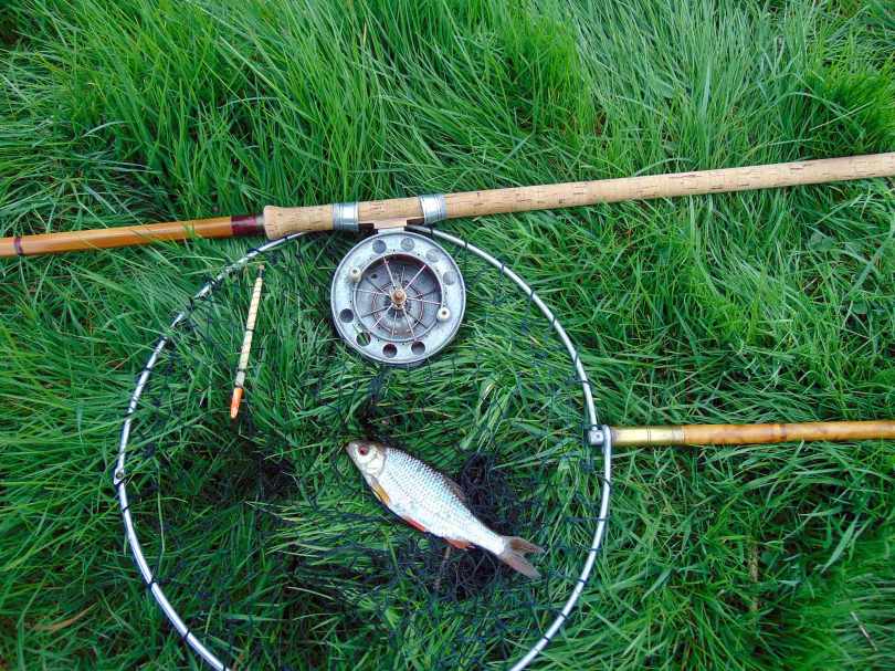 Picture of a Roach in a vintage landing net with a Fred J Taylor split cane fishing rod a quill float and an Allcocks Aerial vintage fishing reel