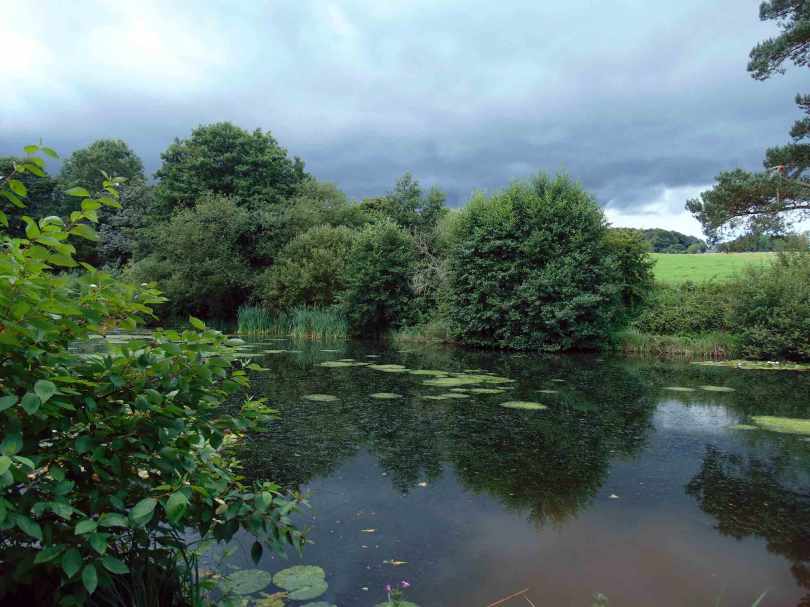 Picture of an approaching thunder storm over a pond