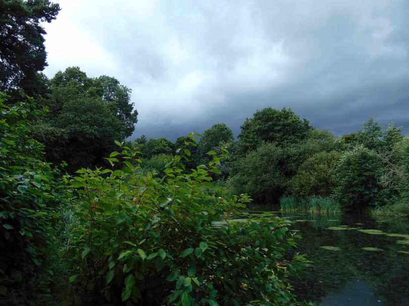Picture of an approaching thunder storm over a pond